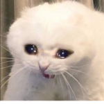 야이년nkm아