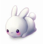 Funny Rabbit fan group