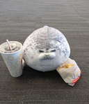 i love seals :D