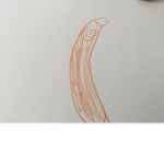 Banana banana squad squad