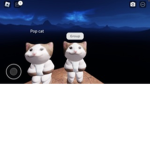 Respect pop cat group