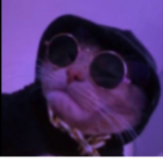 Shin is cool