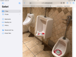 Urinal group