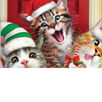 thinkerblinker100's Place Number: 2