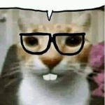 memer tingz...