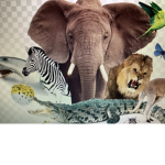 AnimalTalkTime