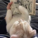 恐