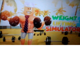 Weight Lifting Simulator.