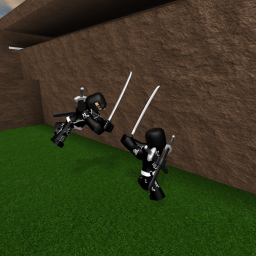 Ninjas Fight
