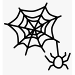 spider gr0up