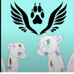 Jake giveaways