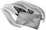 Owl Post