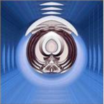 Delta Quadrant Defense Force