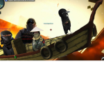 gang monkeys