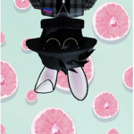 Scout’s Wardrobe