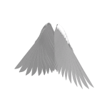 Harpy Wings