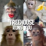 The Treehouse' Group Thumbnail
