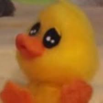 Duck###