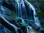 The Nature Lovers Group