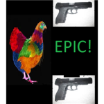 rainbow chickens