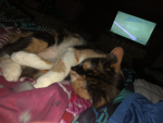 Kiki and kitty