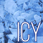 Icy's Clothing Shop