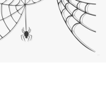 I R L spooder gang