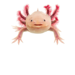 Pick Axolotl family