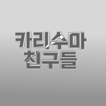 카리수마 친구들