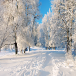 Winter Frosties