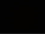 y/n’s