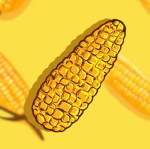 Cobs Community