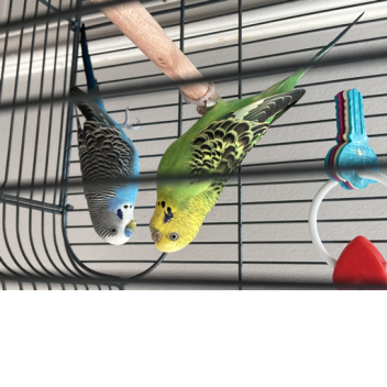 BraNOdon8272's Place