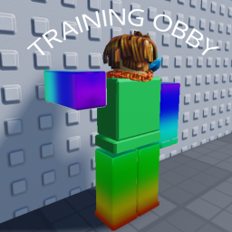 TRAINING OBBY