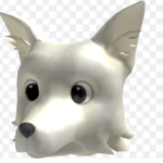 FOXE UNITED
