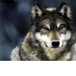 WOLVES X