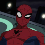 SPIDER_STORE