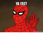 ya yeet a dog