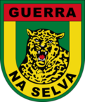 Centro de Instruções de Guerra na Selva [CIGS]