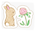 The - Flowers