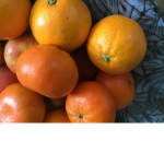 Oranges are yummy but sometimes weird
