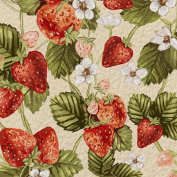 🍓༉‧