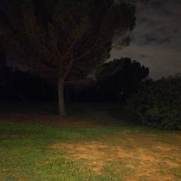 ΓΕΦΥΡΑ ΝΟΣΟΙ
