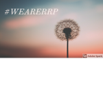FLORIDA_STATE_RP