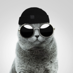 SWAG SEASON