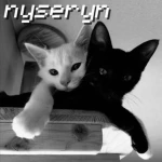 nyseryn Group Thumbnail
