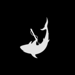 HarpoonedShark Studios