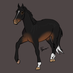 Equine Riding Academy and Apparel