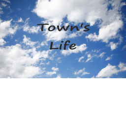 town's life