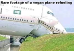 teh vegan plen